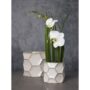 product-268429-1786720005-ACC01-0001725^3
